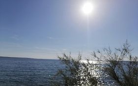 Bella Mare